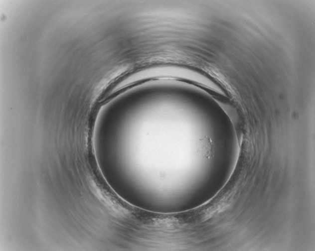 X0000086990446200704231849