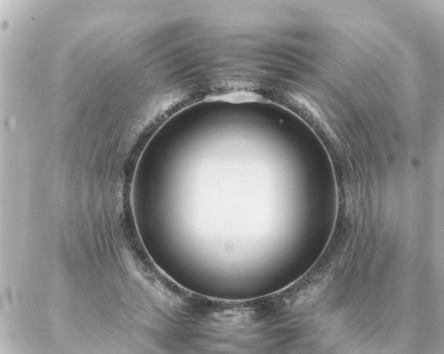 X0000086990447200704231849