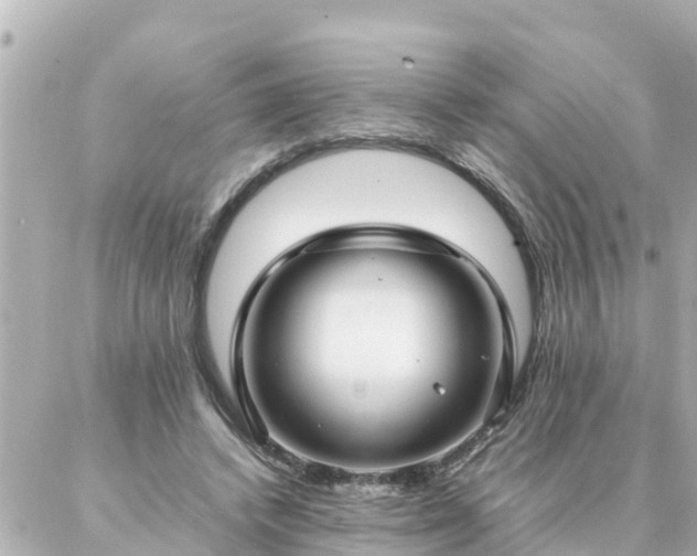 X0000086990448200704231849