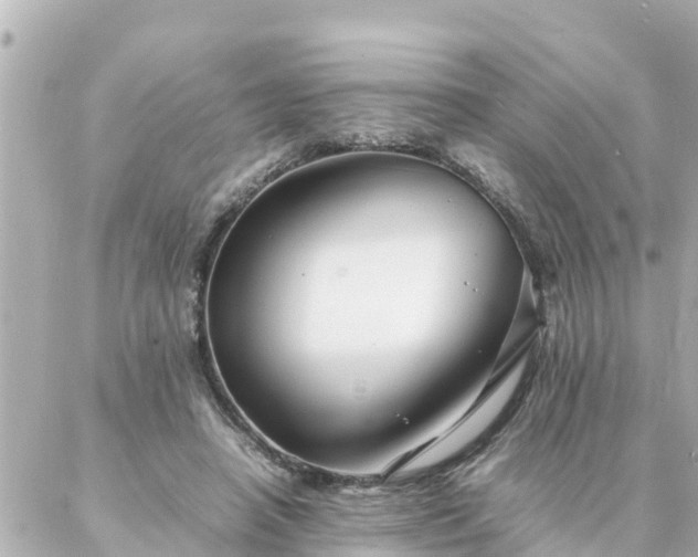 X0000086990450200704231849