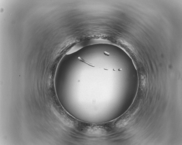 X0000086990451200704231849