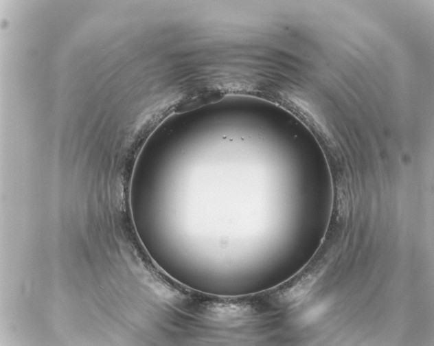 X0000086990453200704231849