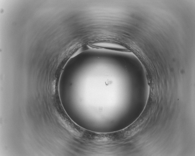 X0000086990454200704231849