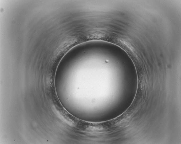 X0000086990455200704231849