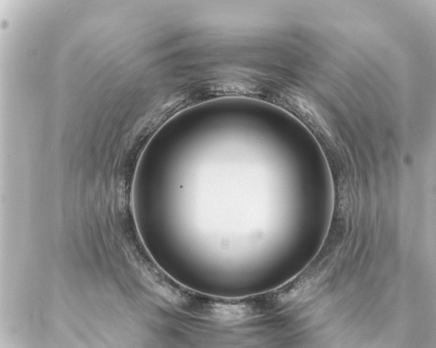 X0000086990457200704231849