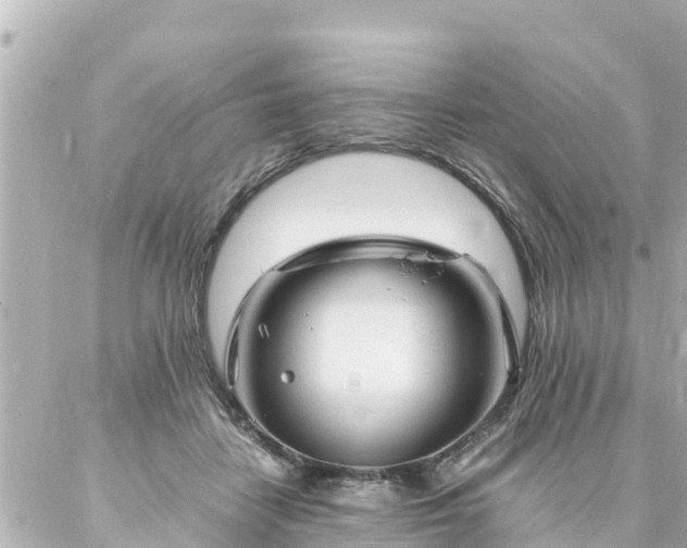 X0000086990458200704231849