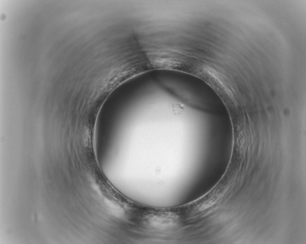 X0000086990459200704231849