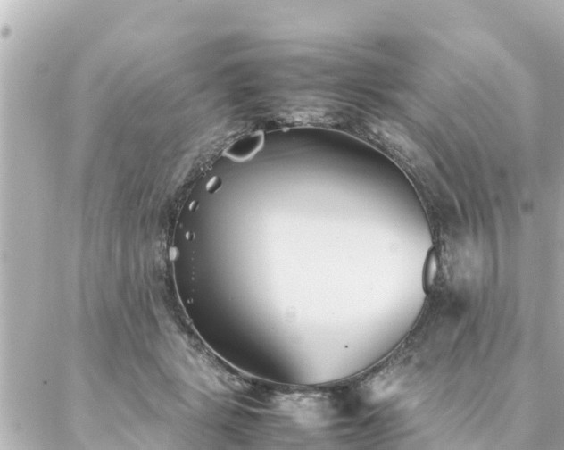 X0000086990461200704231849