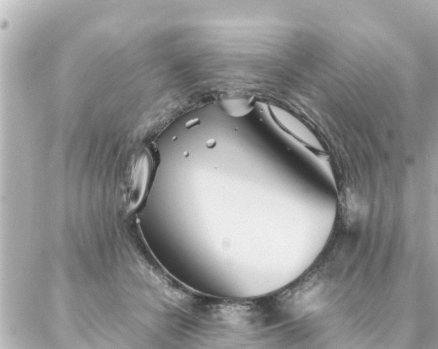 X0000086990462200704231849