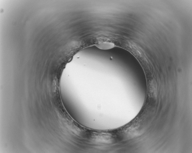 X0000086990463200704231849