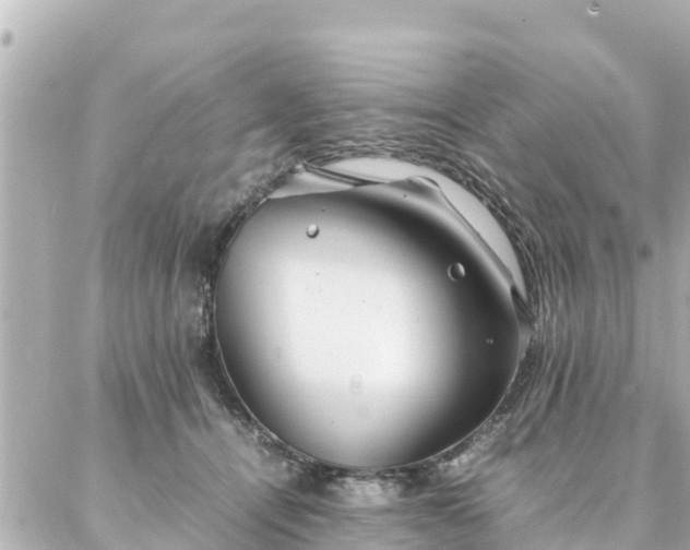 X0000086990464200704231849