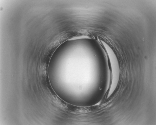 X0000086990466200704231849