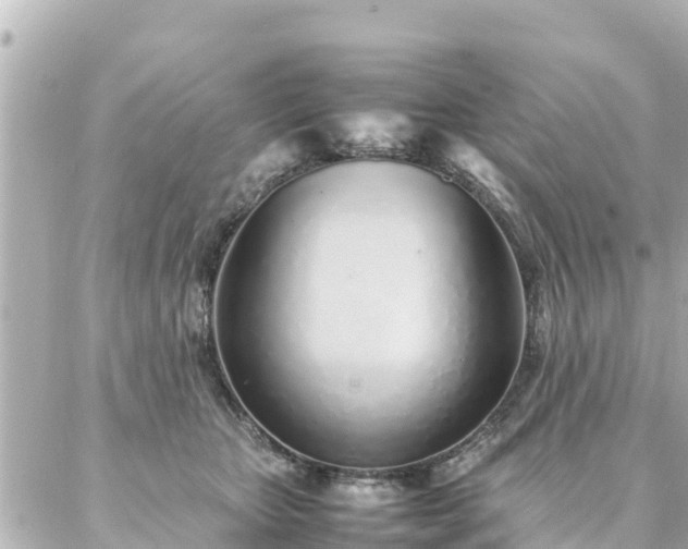 X0000086990467200704231849