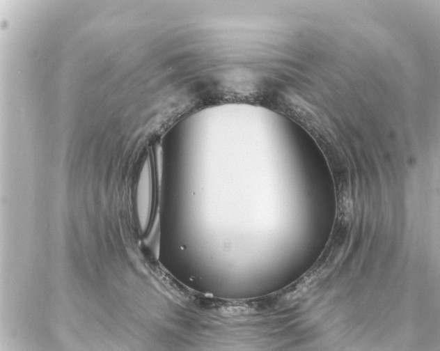 X0000086990468200704231849