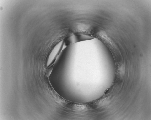 X0000086990469200704231849