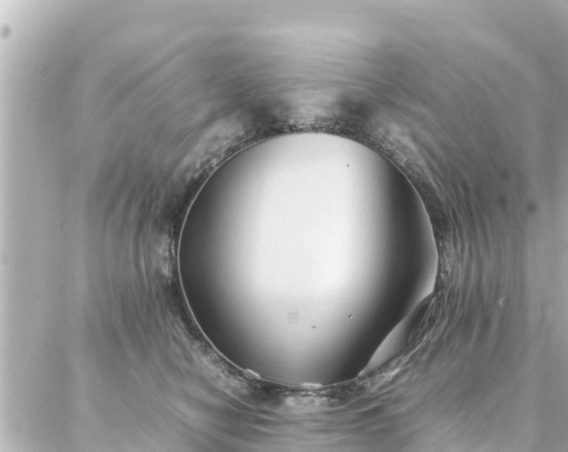 X0000086990470200704231849