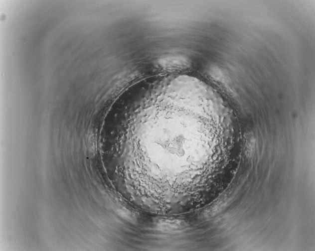 X0000086990471200704231849