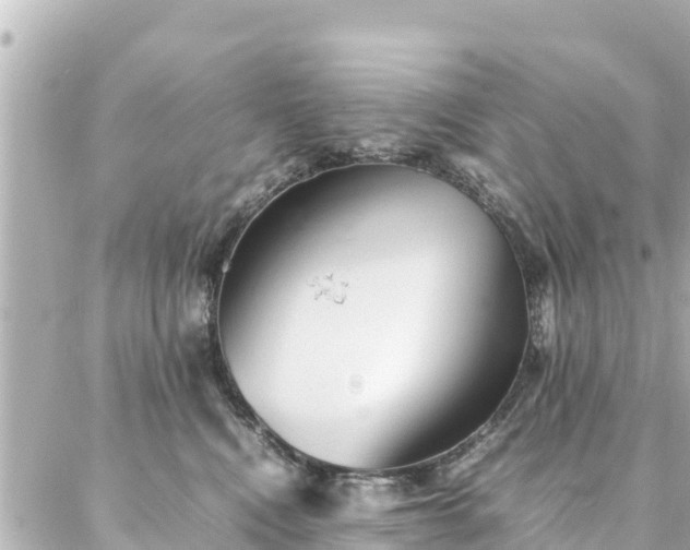 X0000086990472200704231849