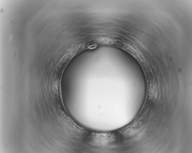 X0000086990473200704231849