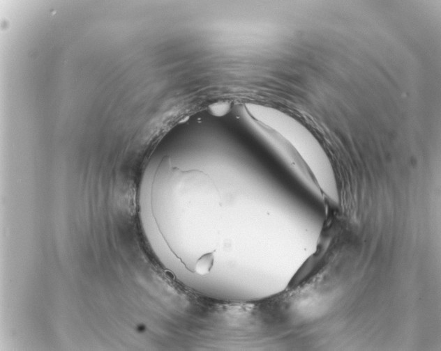 X0000086990474200704231849