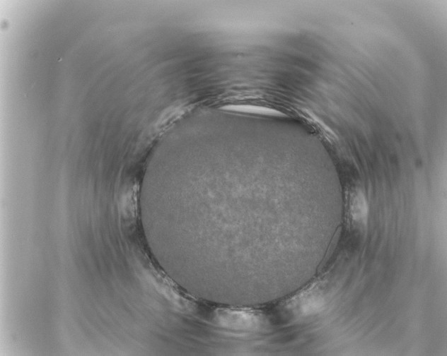 X0000086990475200704231849