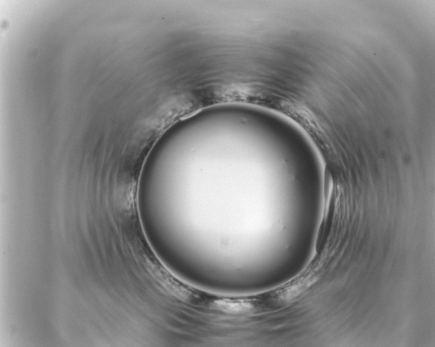 X0000086990477200704231849