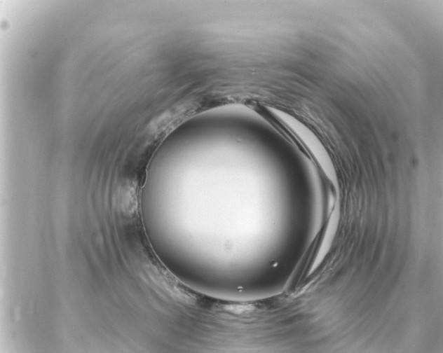 X0000086990478200704231849