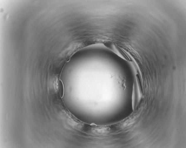 X0000086990479200704231849