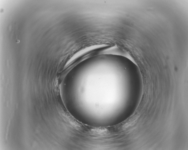 X0000086990480200704231849