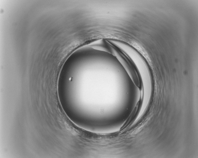 X0000086990481200704231849