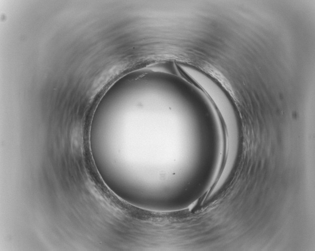 X0000086990482200704231849