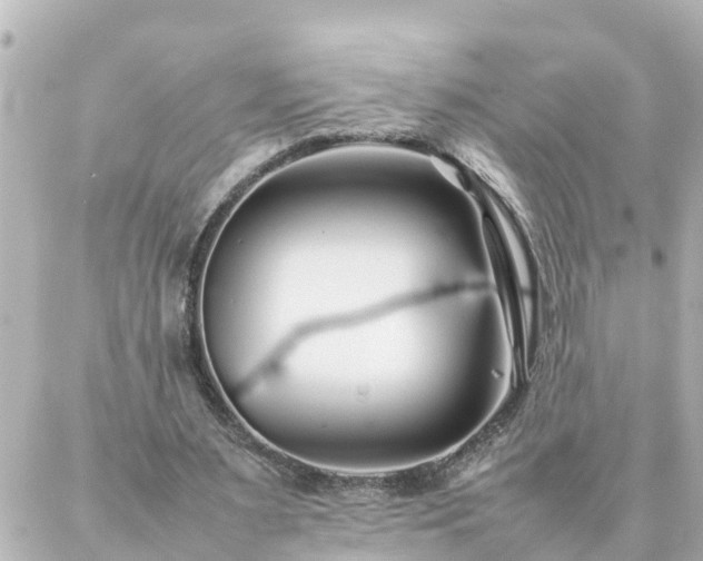 X0000086990483200704231849