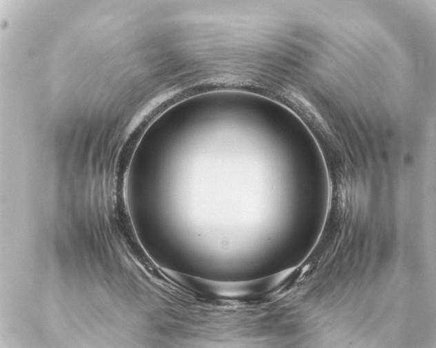 X0000086990484200704231849