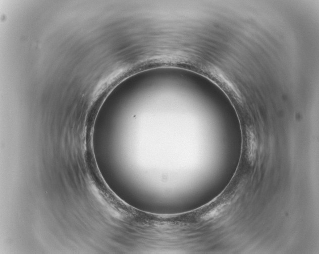 X0000086990486200704231848