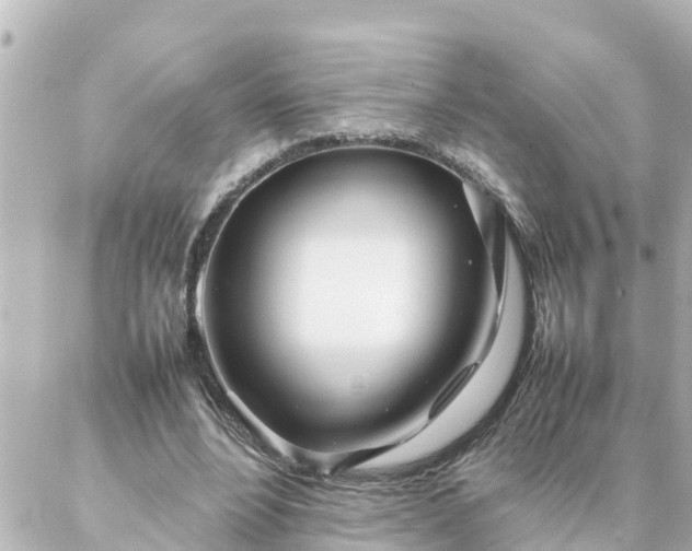 X0000086990488200704231848