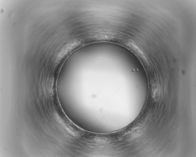 X0000086990490200704231848