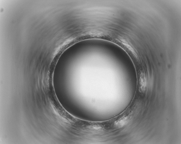 X0000086990492200704231848