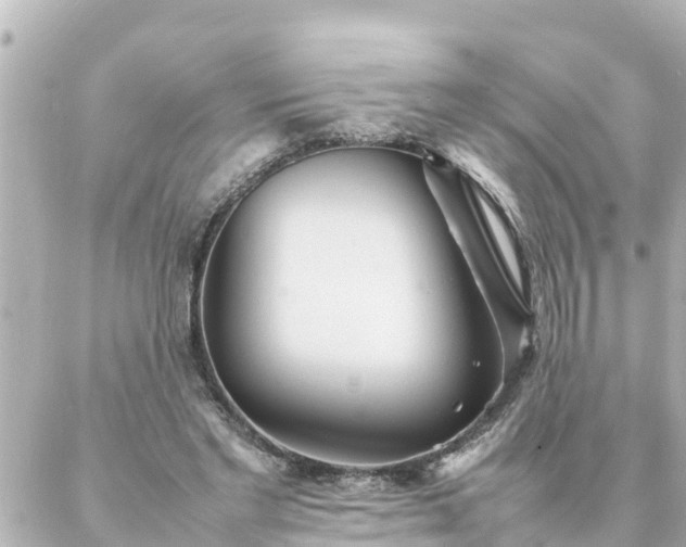 X0000086990493200704231848