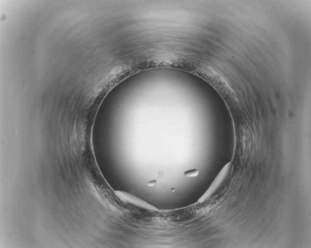 X0000086990496200704231848