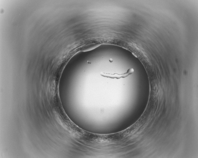 X0000086990498200704231848