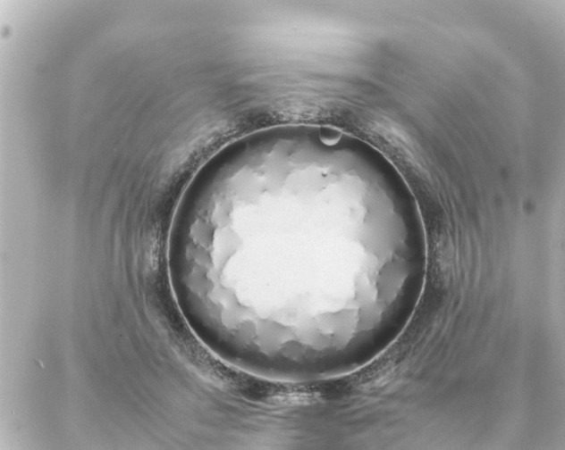 X0000086990499200704231848