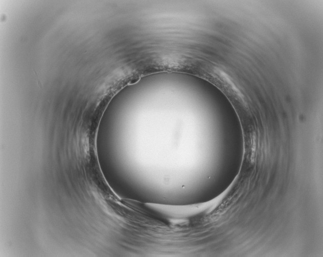 X0000086990500200704231848