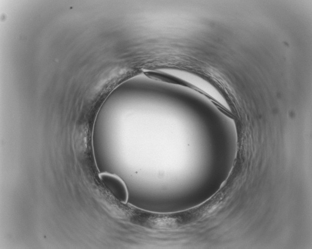 X0000086990501200704231848