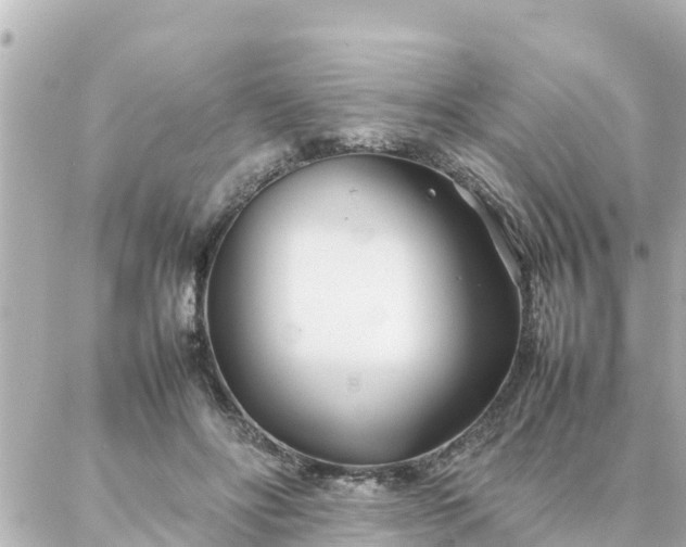 X0000086990502200704231848