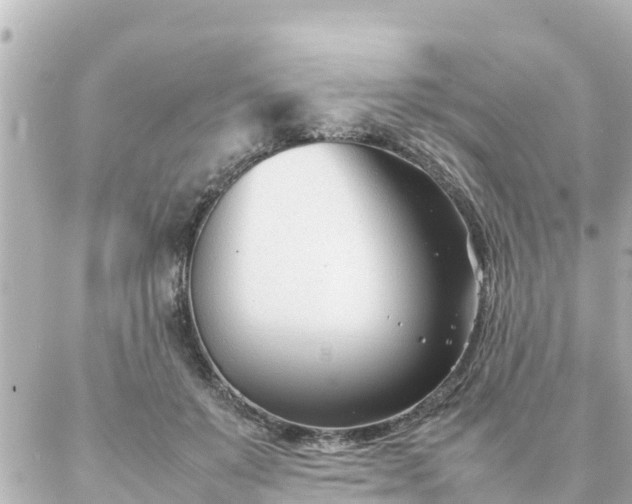 X0000086990503200704231848