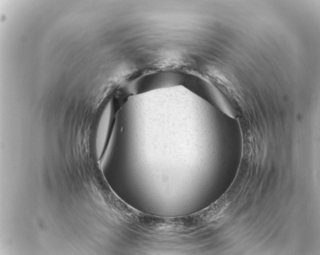 X0000086990504200704231848