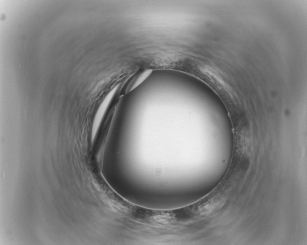 X0000086990505200704231848