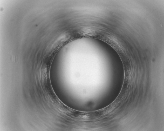 X0000086990506200704231848