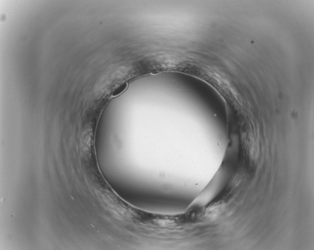 X0000086990509200704231848