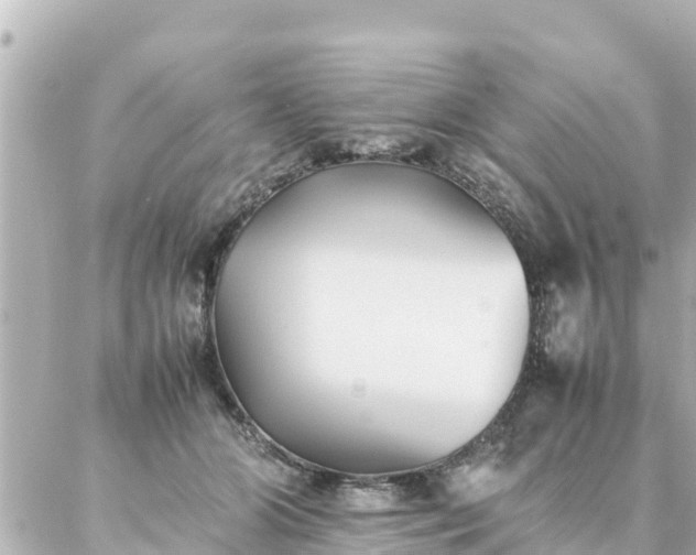 X0000086990510200704231848